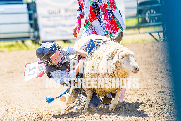 G91A6568