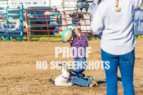 G91A5633