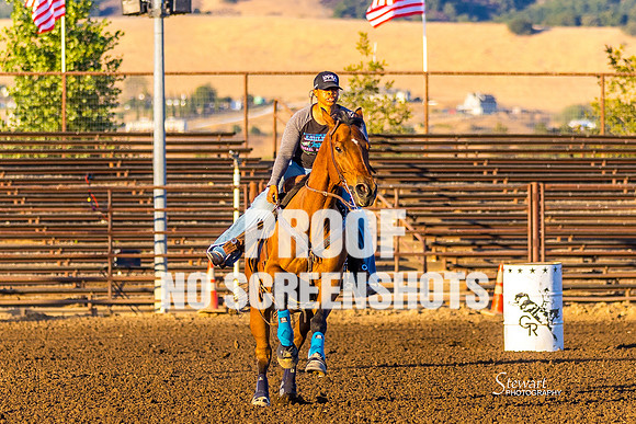 7Q1A7594