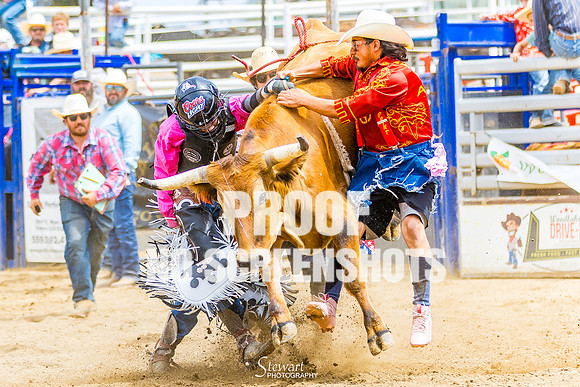 7Q1A8350