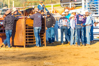 CJCA SAT CHUTE DOGGIN N STEER WRESTLING