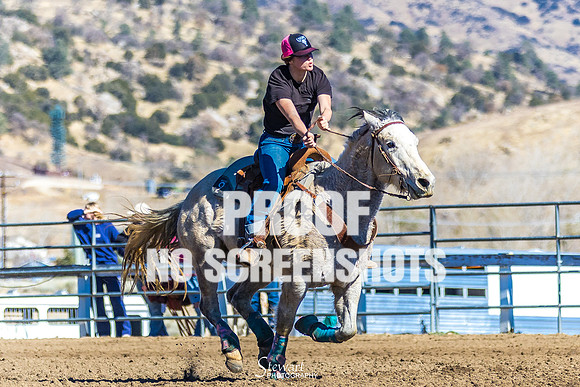 G91A0186