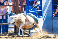 GILROY JR RODEO MUTTON BUSTING
