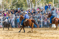 WF SAT TEAM ROPING-ALL