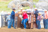 CJCA SUNDAY CHUTE DOGGIN/STEER STOPPING