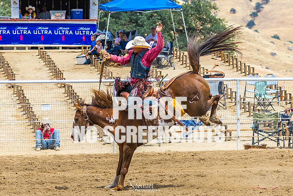 7Q1A8274