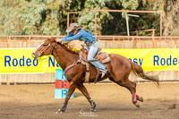 G91A2951