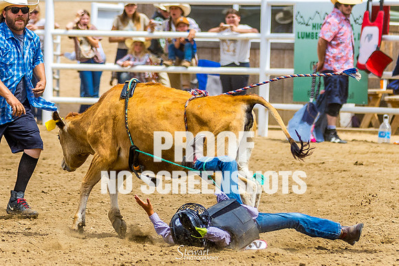 7Q1A8380