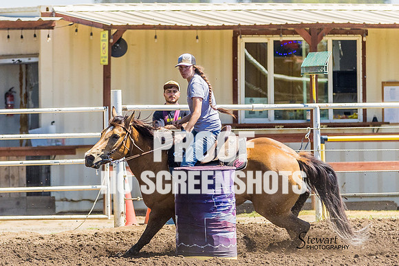 G91A3413