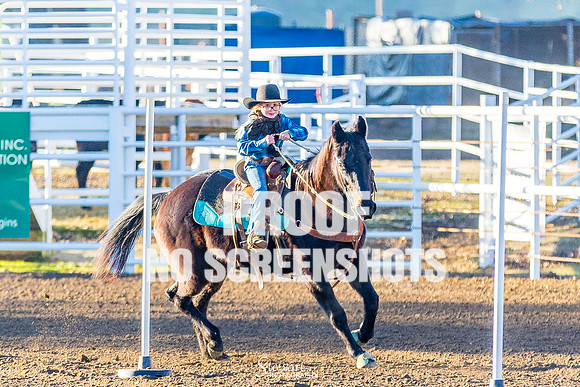 G91A5044