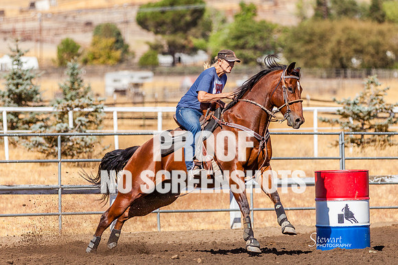 IMG_0431