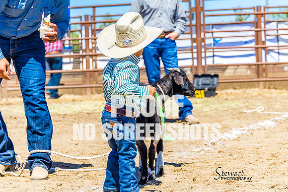 7Q1A3089