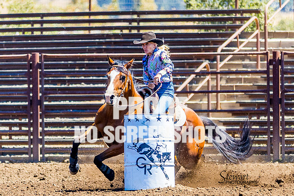 7Q1A9241