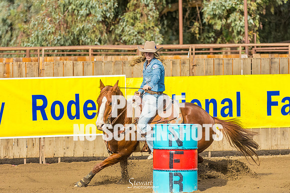 G91A2946