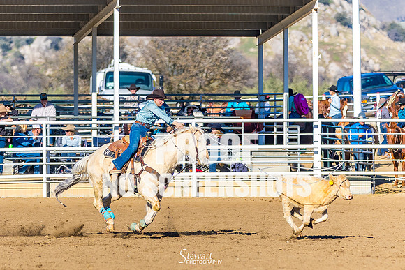 G91A8104