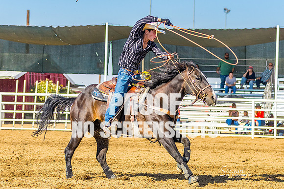 G91A4156