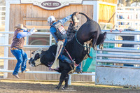 CJCA SAT ROUGHSTOCK
