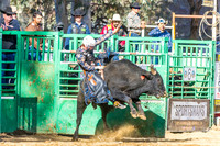 WF SUN BULLS