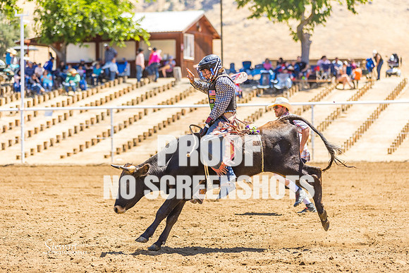 G91A1172