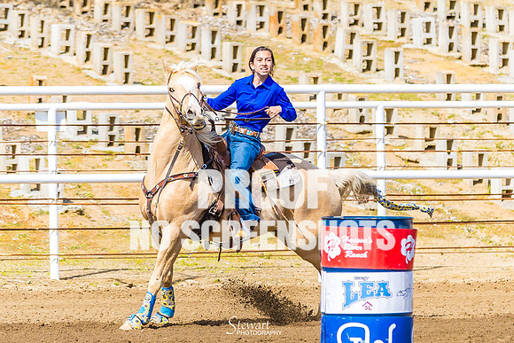 G91A5509