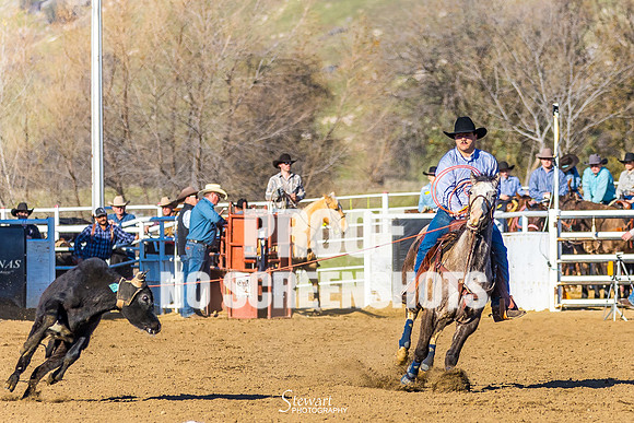 G91A8250