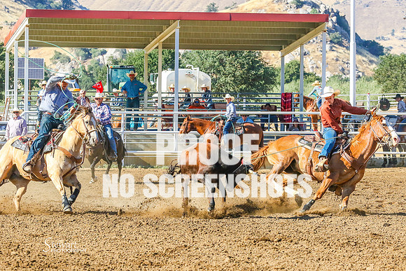 IMG_6308