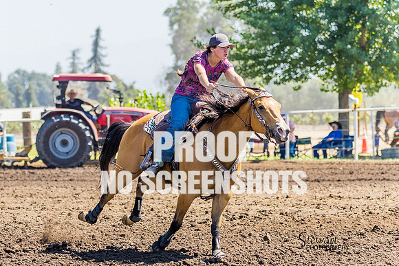 G91A3433