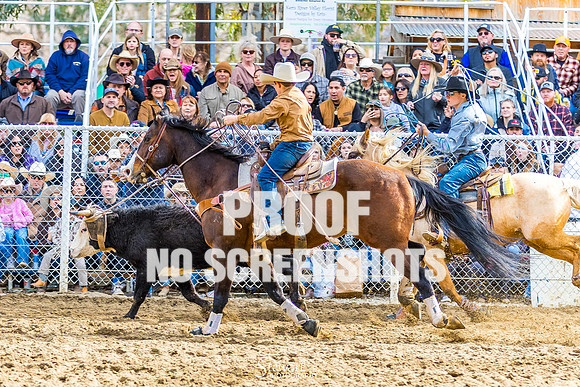 G91A0777