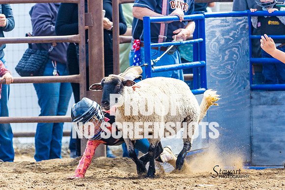 7Q1A2936