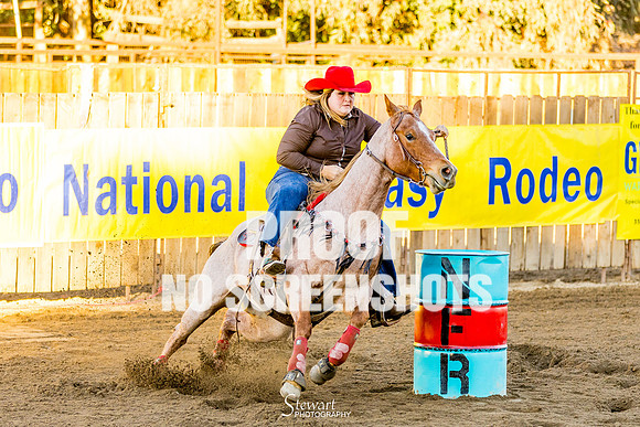 G91A1784