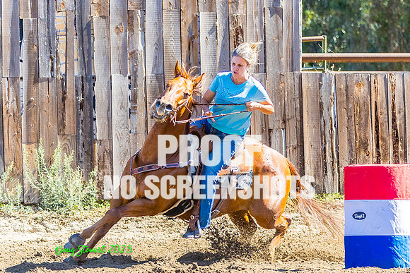7Q1A6046
