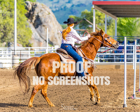 G91A4955