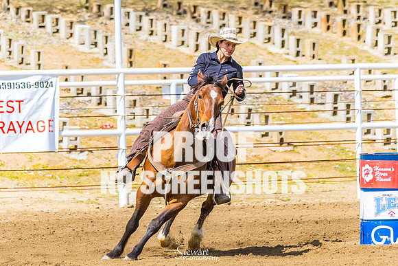 G91A5697