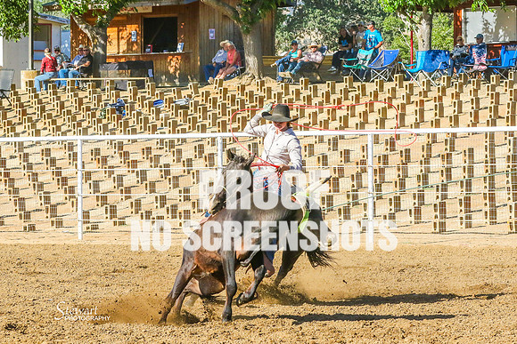 IMG_6389
