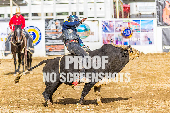 G91A1273