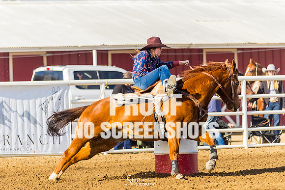 7Q1A0445